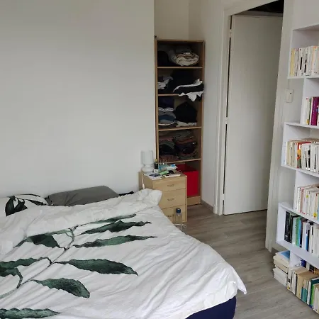 Apartman Une Chambre Dans Un Apartement, Centre Ville, Grenoble